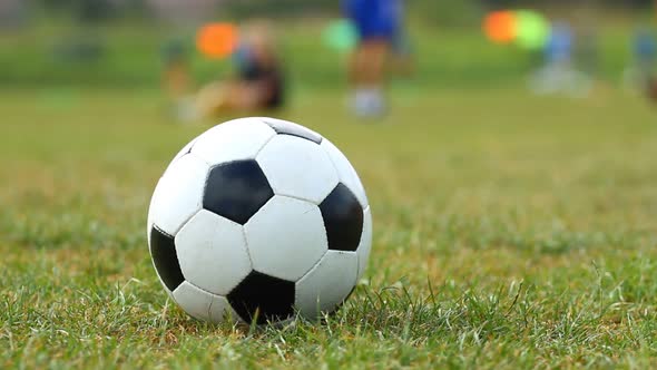Soccer Ball On The Grass