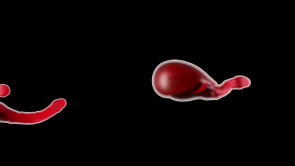 the detection or observation of an unknown life form in a turbid liquid. alt
