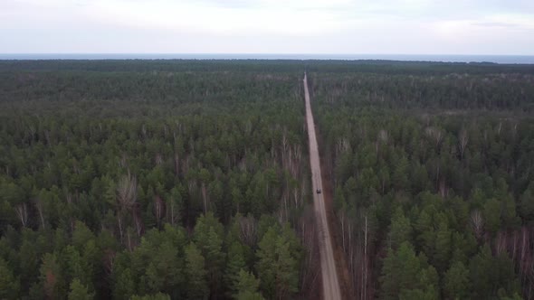 Drone Footage of Car driving trough long forest road 