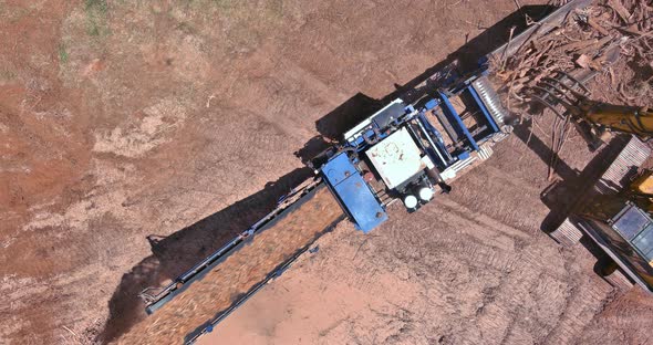 An Industrial Wood Chipper at Work Roots Grinding Machine to Become Chip alt