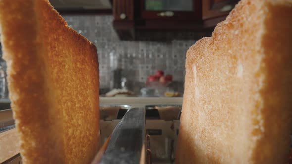 Toasted Bread Toasts with a Brown Crispy Crust Peek Out of Toaster Close Up alt