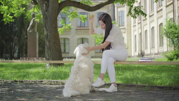 Happy Young Brunette Woman Stroking Head of White Dog and Talking. Portrait of Joyful Caucasian alt