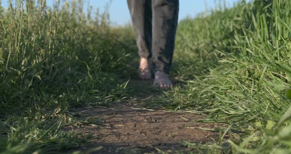 Barefoot in Nature alt
