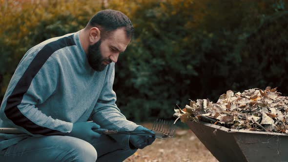 Garden Worked Who Is a Man Removing and Cleaning the Dry Leaves From the Rake alt