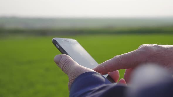 Agronomist Mature Man Using Smartphone in Agriculture Farm alt