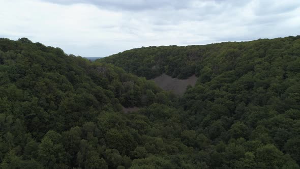 Aerial View of Tree Tops and Mountain Valley Forest