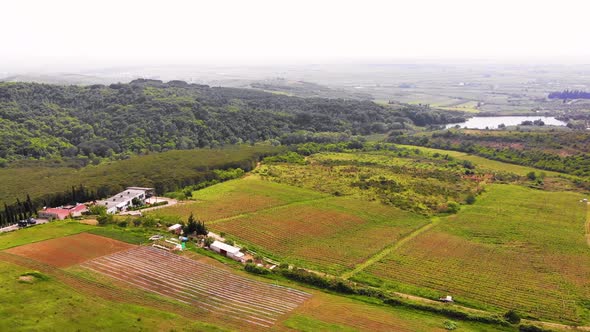 Aerial Drone View Over Vineyards Towards Agricultural Fields During Sunset alt