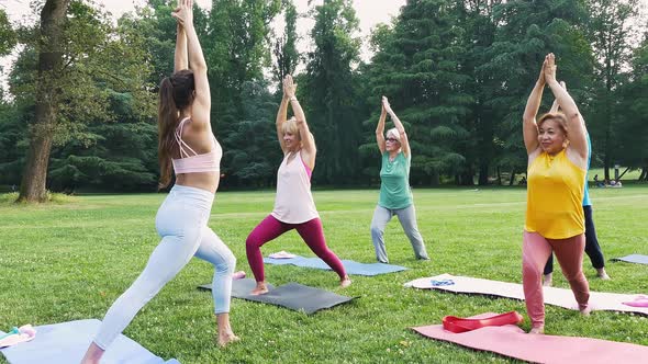 Group of seniors doing training alt