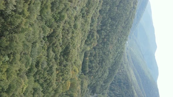 Vertical Video Carpathian Mountains alt