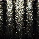 Abstract Bright Particle Confetti and Glitter on Black Velvet Rain - VideoHive Item for Sale