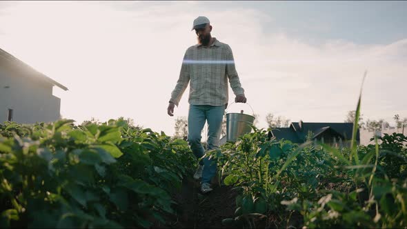Man Walks Around His Garden Checking His Plants and Vegetables at Sunset