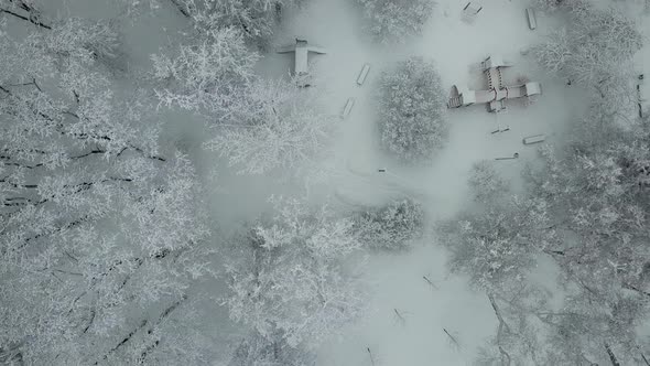 Snowy Park in the City