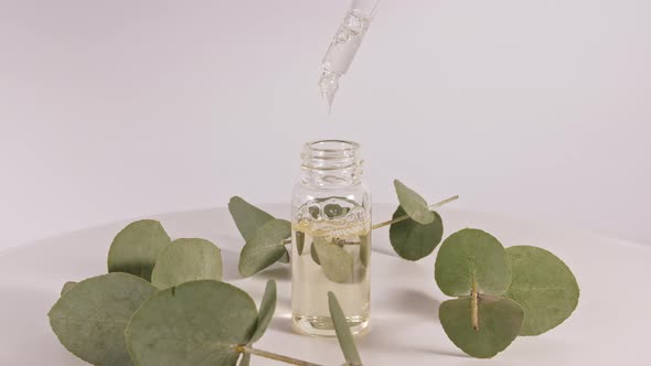 Pipette with Oil of Eucalyptus with Leaves on a White Background alt