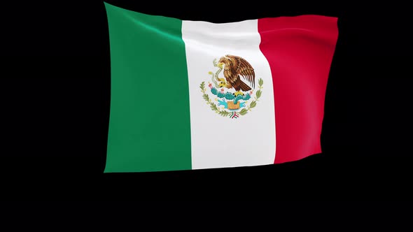 Mexican Flag Video