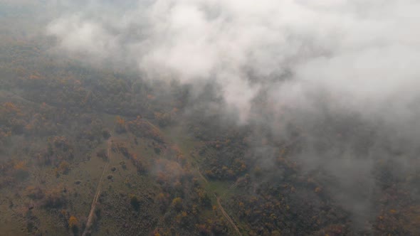 Aerial Top View Of Misty Autumn Forest 