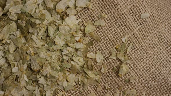 Rotating shot of barley and other beer brewing ingredients alt