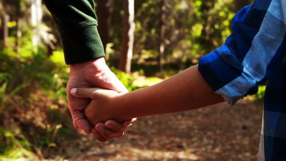Father holding sons hand in the park alt