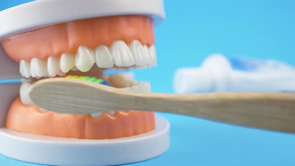How To Brushing Teeth By Rainbow Bamboo Toothbrush