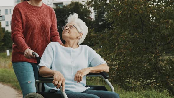 Adult Granddaughter Assisting Her Grandmother Sitting in Wheelchair in the Park alt