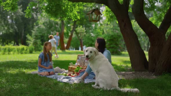 Happy Golden Retriever Sitting Near Resting Family alt