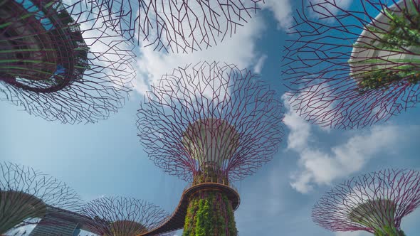 Time lapse supertree grove Futuristic view of amazing illumination. alt