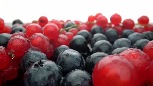 Wild Berries Red Currants and Black Lingonberries in Motion in Slow Motion alt