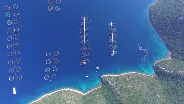 Shot from above of a sea fish farm in Croatia alt