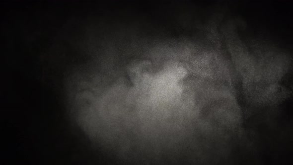 Shimmering Natural Little Particles Are Floating on a Black Background. alt