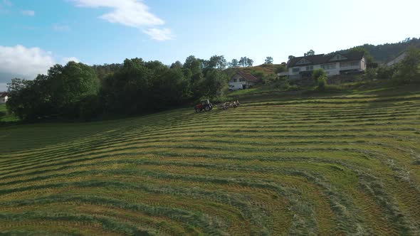 Tractor with wheel rake collecting fodder for silage production, Norway, aerial alt
