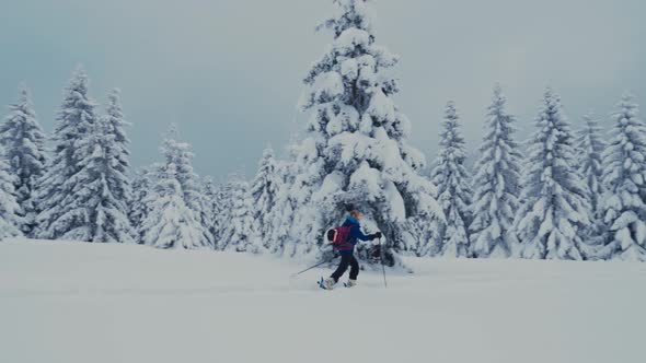 Happy ski tourer girl walking on the skis in beautiful winter landscape, slow motion, wide shot alt