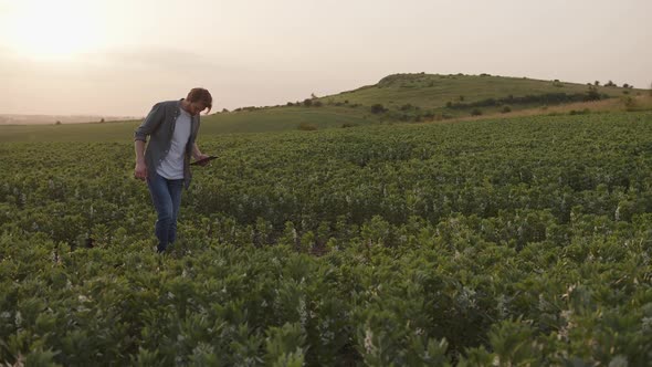 Young Farmer Walks with the Tablet and Looks on the Plants alt