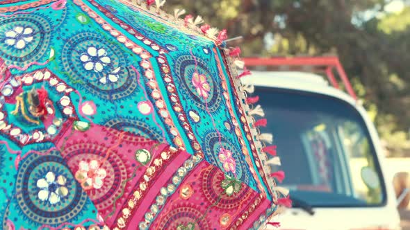 Smiling woman posing with umbrella in park 4k alt