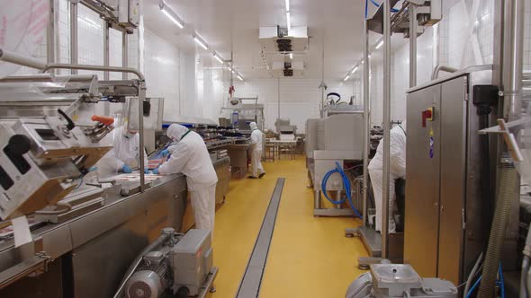 Industrial Production Line for the Production of Bacon for Shops