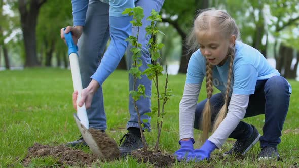 Schoolgirl and Male Volunteers Planting Bush in Park, Environmental Preservation alt