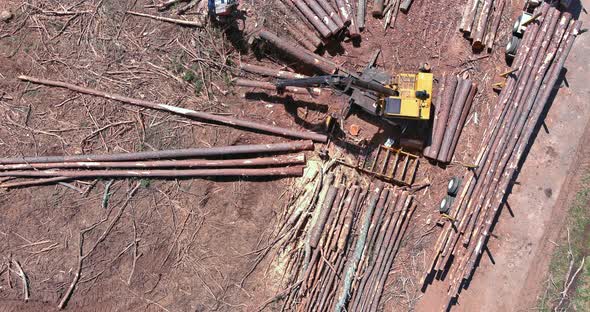 Loader Log Grab in During Clearing Land the Deforestation Forest for New Subdivision alt