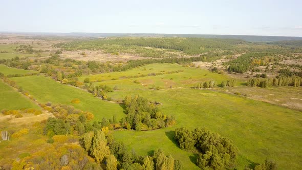 Green Nature