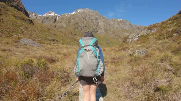 Hiker walks along boardwalk through alpine landscape, Routeburn Track New Zealand alt