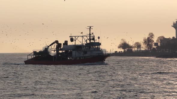 Trawler in the sea is coming back from fishing to Istanbul 