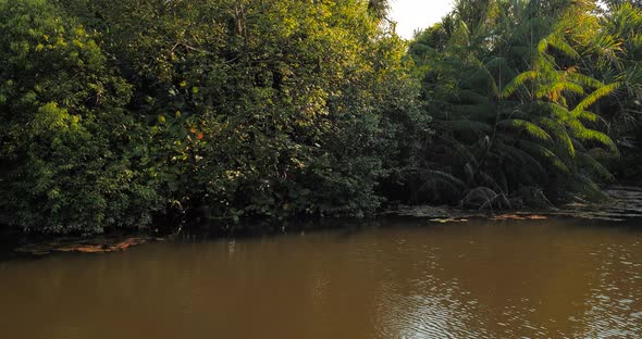 View of Lake in Garden