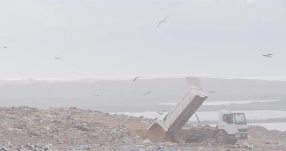 Vehicles clearing rubbish piled on a landfill full of trash alt