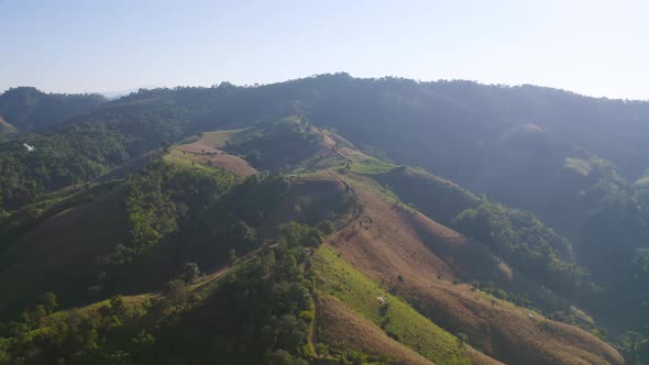 Aerial top view of forest trees and green mountain hills. Nature landscape background, Thailand. alt