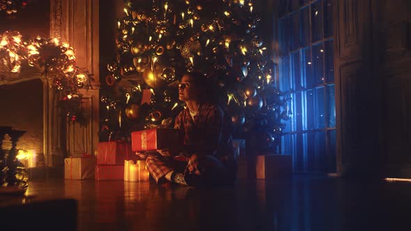 Christmas tree decorations alt