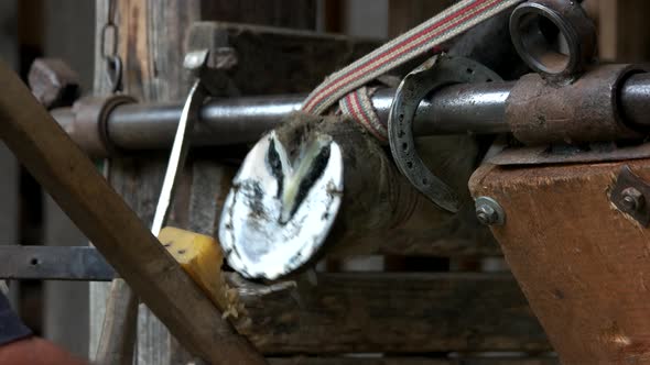 Blacksmith Shoeing a Horse alt