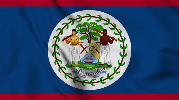 Belize flag seamless closeup waving animation