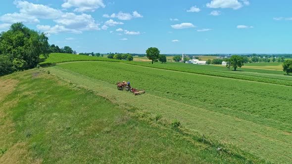 Aerial View of an Amish Farmer with Three Horses Harvesting His Crops alt