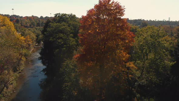 Fall colour over Don Valley Parkway Toronto Ontario Canada alt