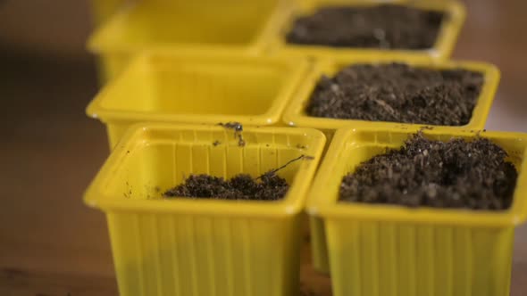 gardener in gloves pours soil with fertilizers into pot with spatula. close-up alt
