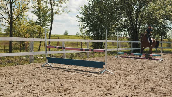 Jockey Riding On Dark Bay Horse In The Sandy Arena Jumping Over The Obstacles alt