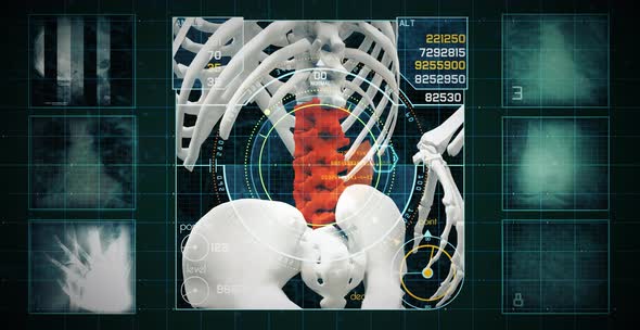 Digital scanning spine human joint