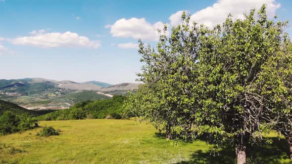 the old pear trees and beautiful landscape hills fields of Brus village, Kosovo